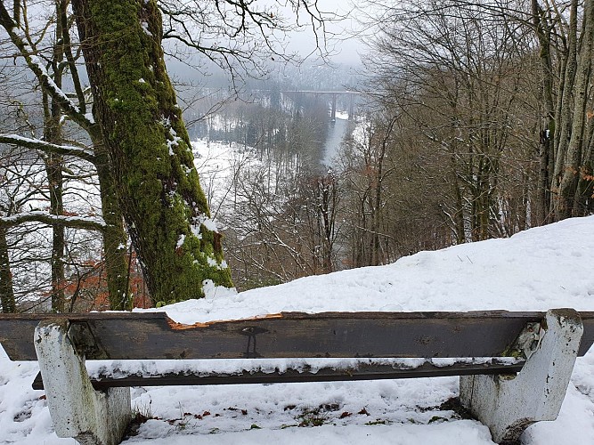 Herbeumont banc PV Viaduc- 2021 hiver - A Villeval (20)