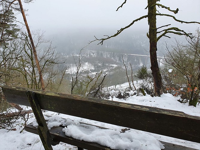 Herbeumont prom Faité PV au dessus carrière - 2021 hiver - A Villeval (35)