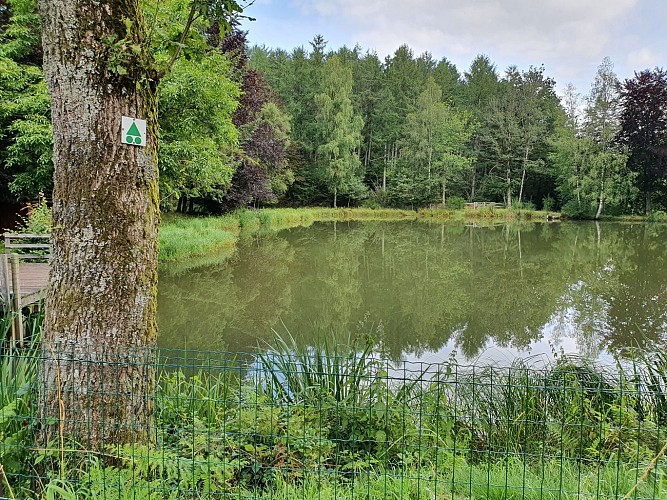 Mouzaive-2021 ete étang Bertand Fontaine prom 5 A Villeval MTBA (50)