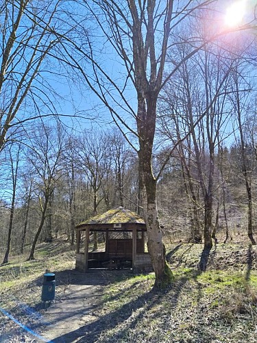 Vresse - Membre - Chêne à l'Image (25)