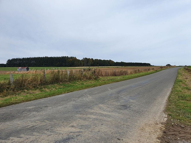 Paliseul VTT jaune Prom Périgé automne 21 AV (43)