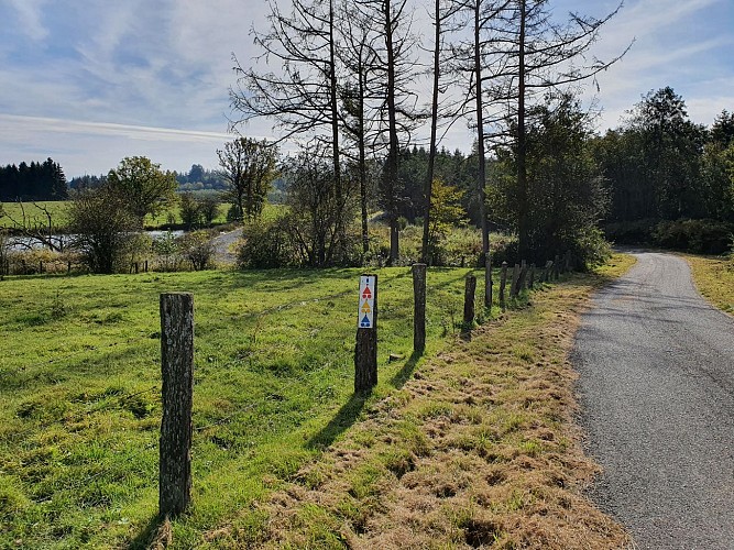 Paliseul VTT jaune Périgé automne 21 AV (1)