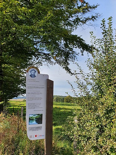 Paliseul VTT jaune Prom Périgé automne 21 AV (26)