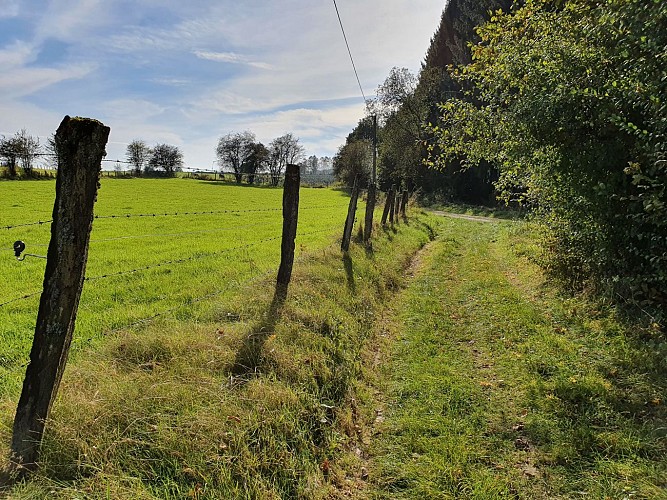 Paliseul VTT jaune Prom Périgé automne 21 AV (35)