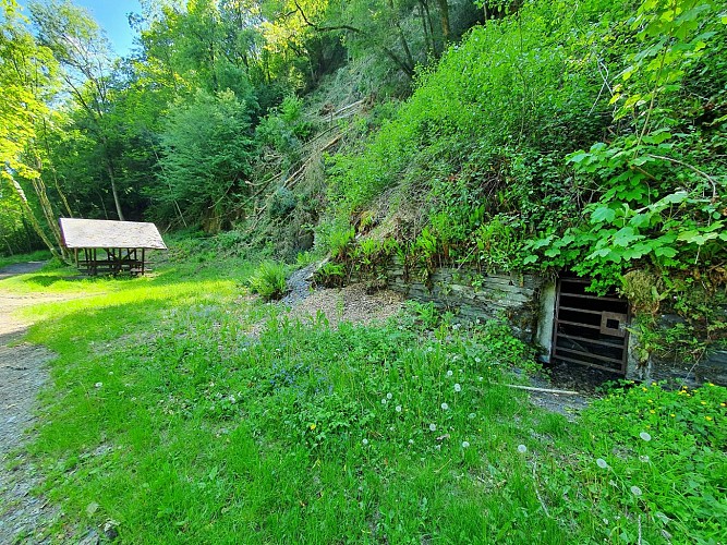 Rochehaut - BBQ Corbeaux mai 2020 A Villeval (4)