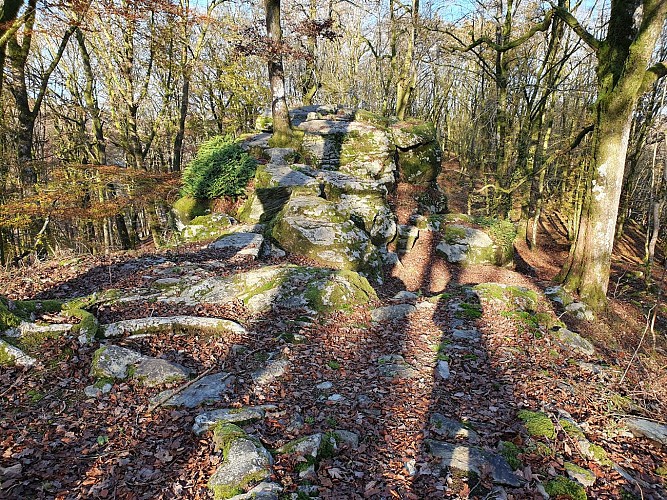Bohan_21 automne Le Chatelet MTBA A Villeval (34)