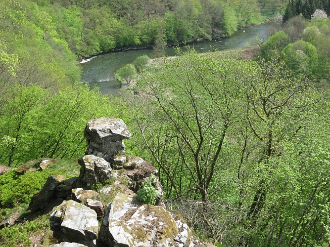 Le champignon des fées - Mr Hallet (1)
