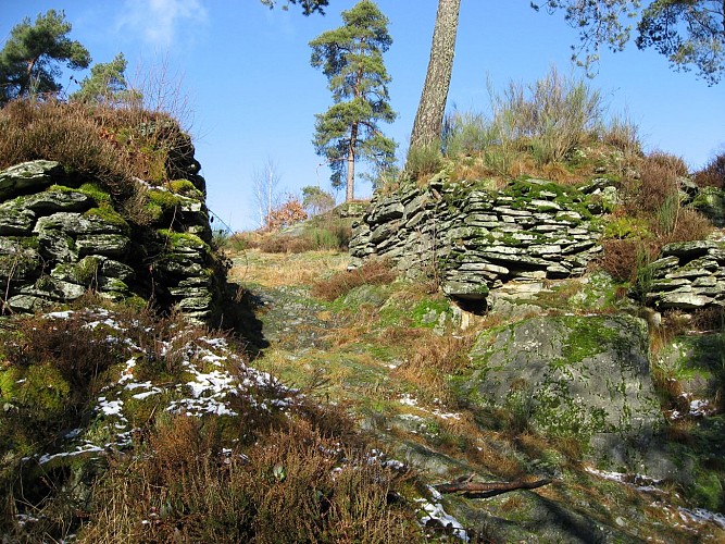 Bertrix - Château des fées (Mr Hallet) SAS