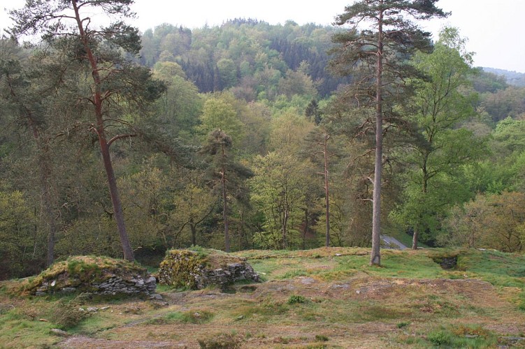 Bertrix - Château des fées (Xavier al Charif) (5)