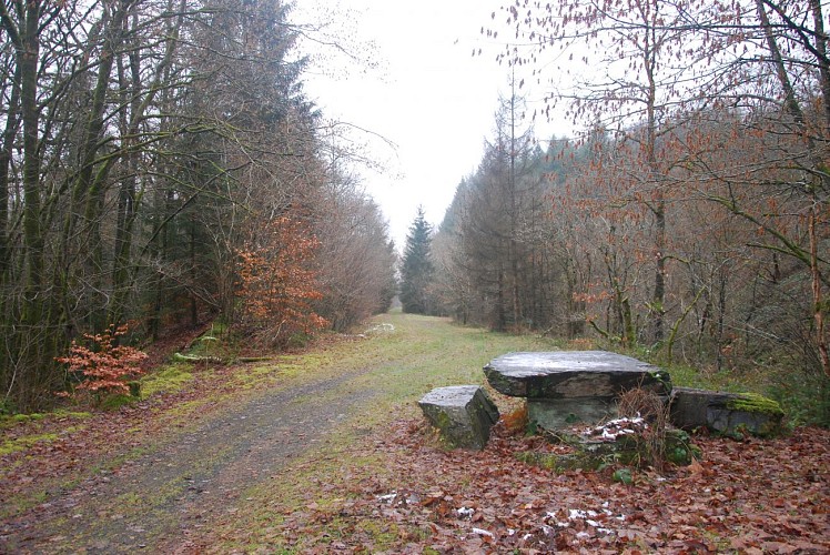 Prom BX 07 pre ravel table pique nique dec 19 V. Martin (1)