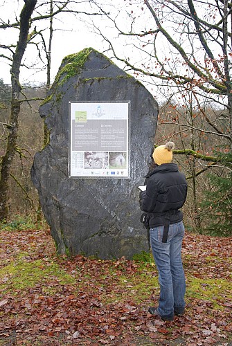 Prom BX 07 personnage pierre levée pré ravel dec 19 V. Martin