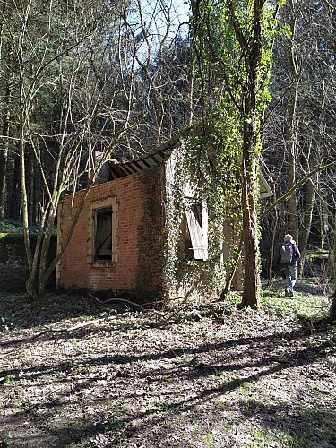 Bohan-2020-printemps-prom Vallée des Baraques-(AG) (33)