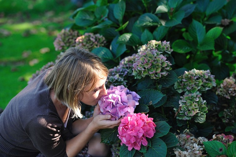 Village de Willancourt (7)