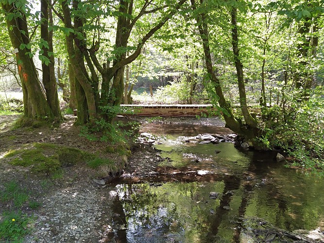 Bohan-2020-printemps-prom les Dolimarts-(AG) (7)