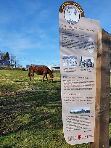 Prom Paul Verlaine Paliseul panneau 1 A. Villeval (2)