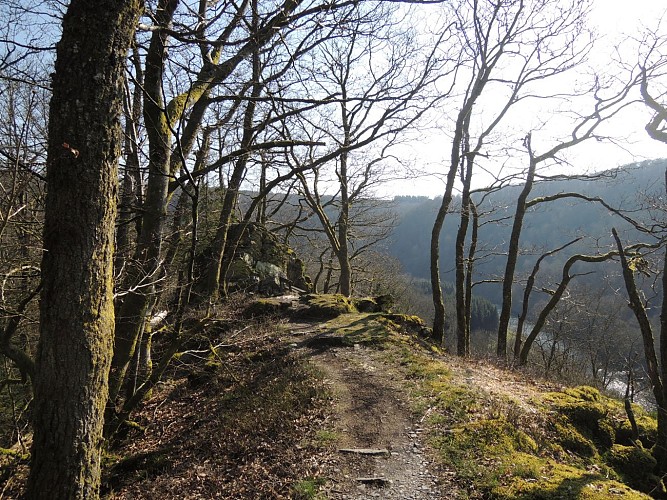 Herbeumont_Crêtes (2)