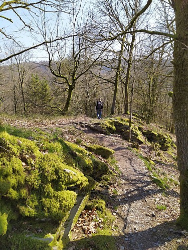 Herbeumont_Les Crêtes (8)