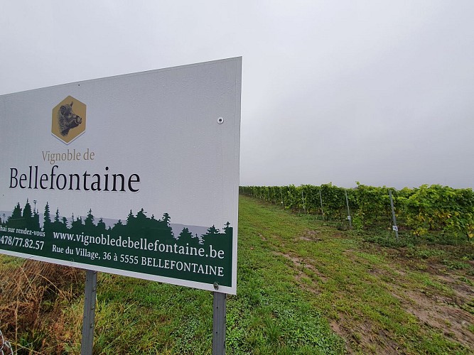 Bellefontaine prom Fayais vignoble oct 20 MTBA AV