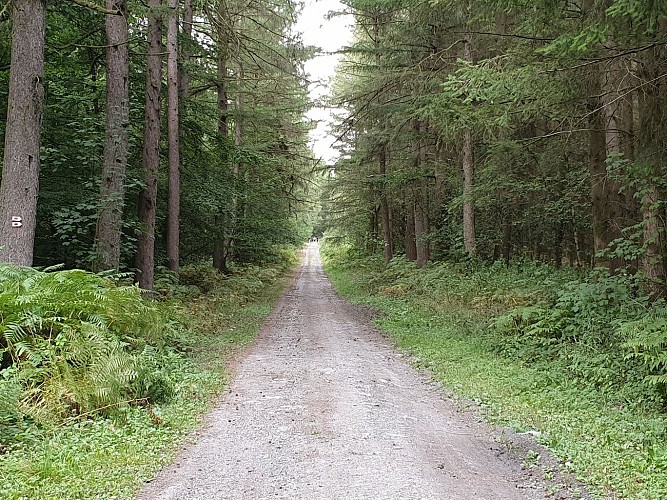 Prom 2 Poupehan Le Ragis sept 20 A .villeval (20)