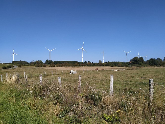 Bièvre_2020_été_prom Les Maurzies_(AG) (3)