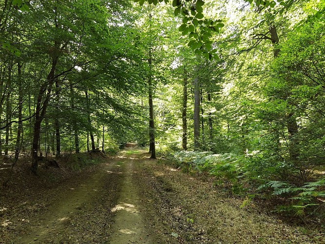 Bièvre_2020_été_prom Les Maurzies BR_(AG) (5)