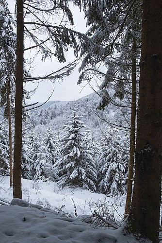 3537_MTBastogne_SteOde_BonneDame_Hiver_web_AnneSegers-