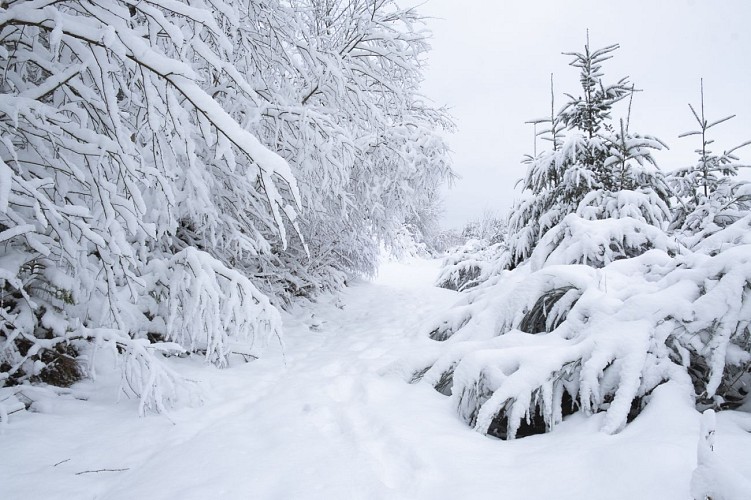 3510_MTBastogne_SteOde_BonneDame_Hiver_web_AnneSegers-