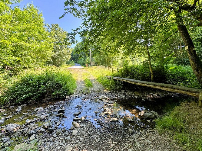 Tellin_promenade_du_bois_du_machi©MTFSH_TEXTO_Pascal_Willems_(11)