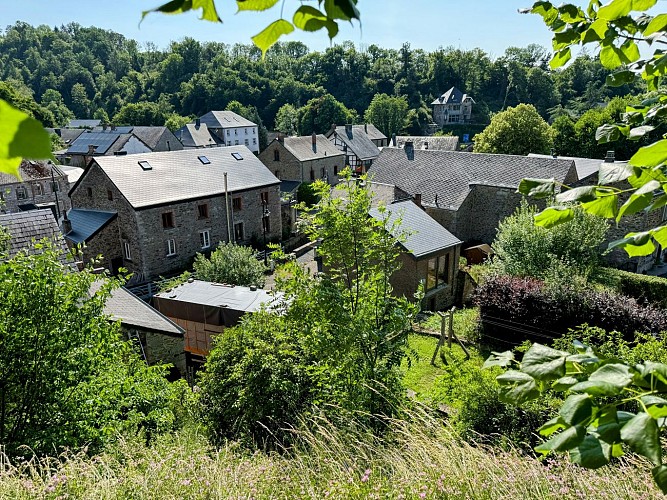 Tellin_promenade_du_bois_du_machi©MTFSH_TEXTO_Pascal_Willems_(69)