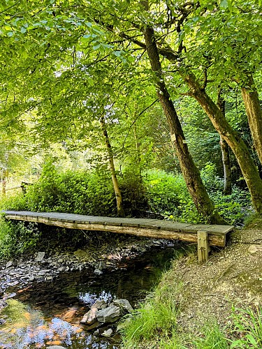 Tellin_promenade_du_bois_du_machi©MTFSH_TEXTO_Pascal_Willems_(10)