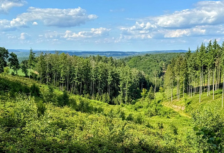 Tellin_promenade_des_alouins©MTFSH-TEXTO_Pascal_Willems_(65)