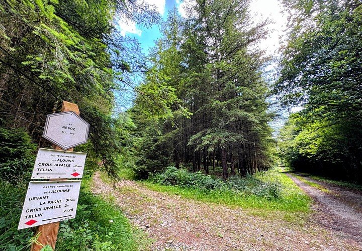 Tellin_promenade_des_alouins©MTFSH-TEXTO_Pascal_Willems_(99)