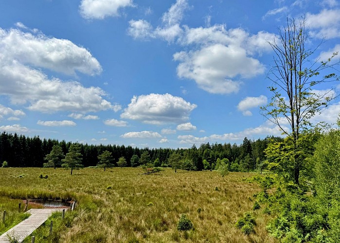 Tellin_promenade_des_alouins©MTFSH-TEXTO_Pascal_Willems_(126)