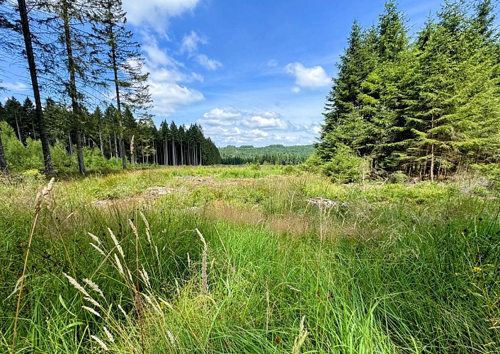 Tellin_promenade_des_alouins©MTFSH-TEXTO_Pascal_Willems_(2)