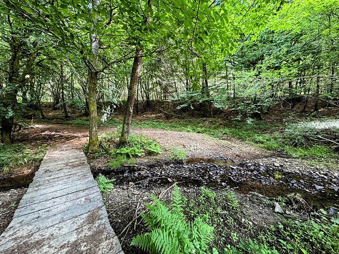 Tellin_promenade_des_alouins©MTFSH-TEXTO_Pascal_Willems_(7)-1