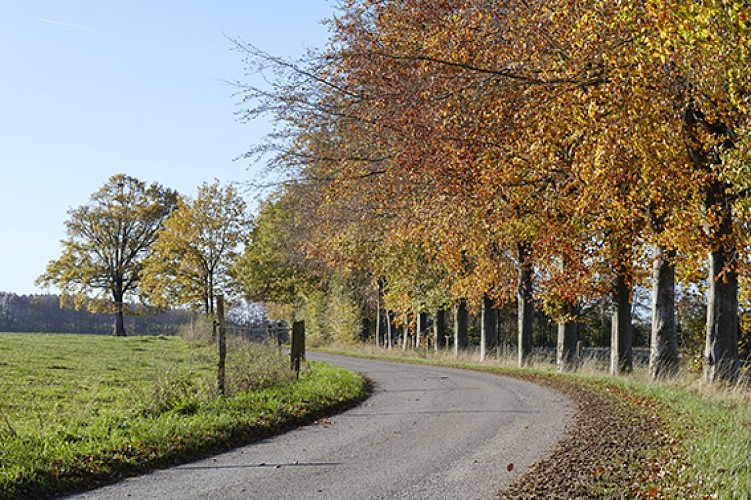 MTBastogne_Bastogne_Nature_AnneSegers (23)