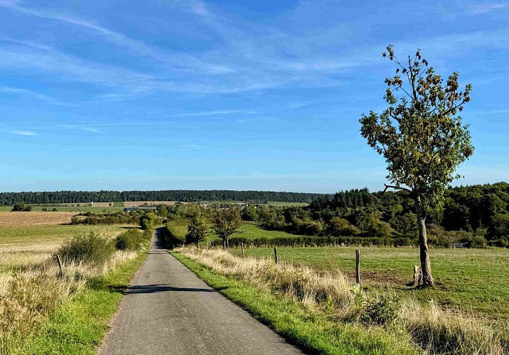 Wellin-coignimont©MTFSH-TEXTO Pascal Willems (29)