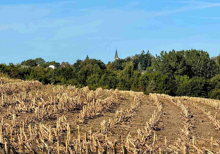 Wellin-coignimont©MTFSH-TEXTO Pascal Willems (24)