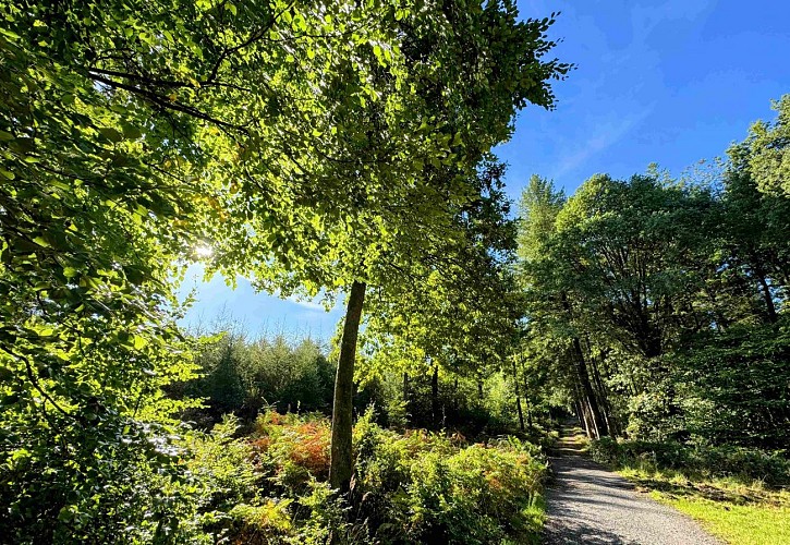 Wellin-coignimont©MTFSH-TEXTO Pascal Willems (47)