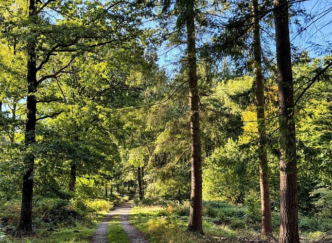 Wellin-coignimont©MTFSH-TEXTO Pascal Willems (45)