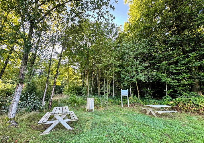 Wellin-coignimont©MTFSH-TEXTO Pascal Willems (56)