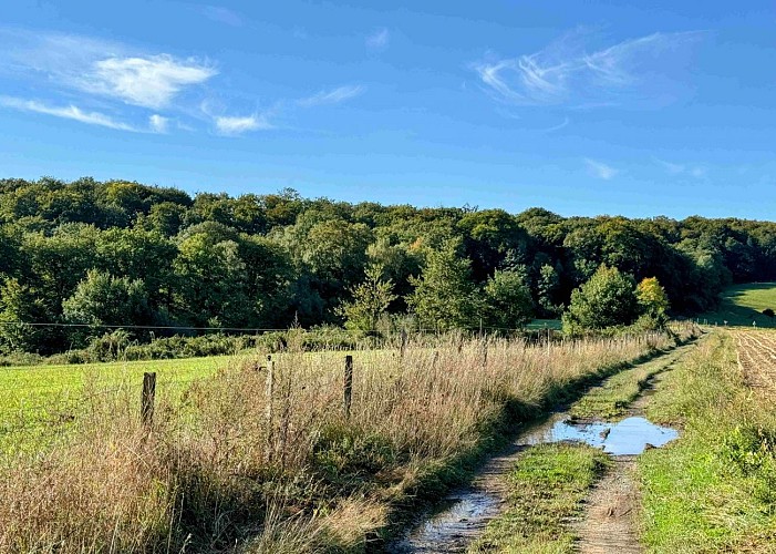 Wellin-coignimont©MTFSH-TEXTO Pascal Willems (52)