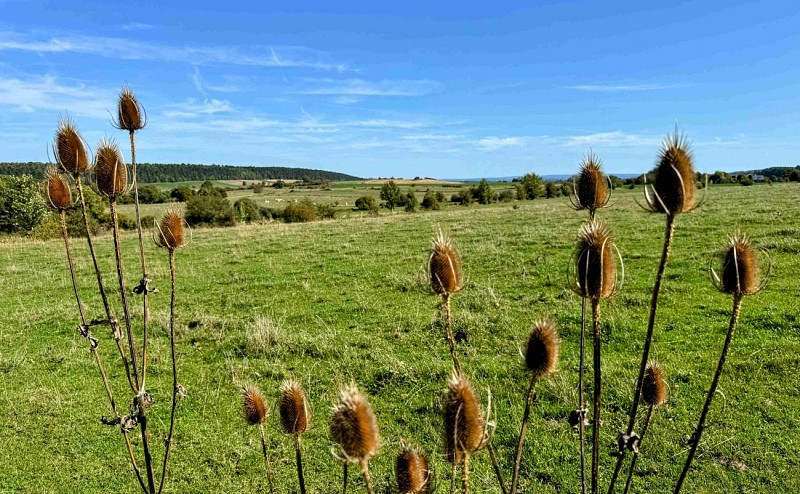 Wellin-blanchau©MTFSH-TEXTO Pascal Willems (44)