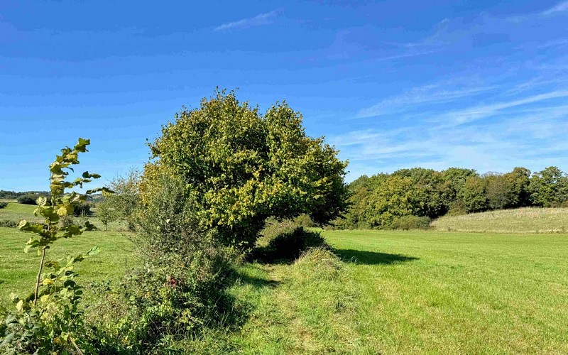 Wellin-blanchau©MTFSH-TEXTO Pascal Willems (46)