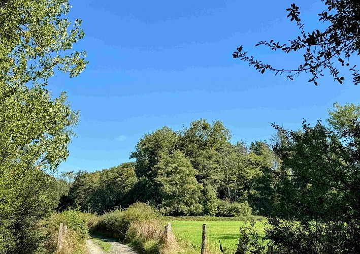 Wellin-outrelesse©MTFSH-TEXTO Pascal Willems (23)