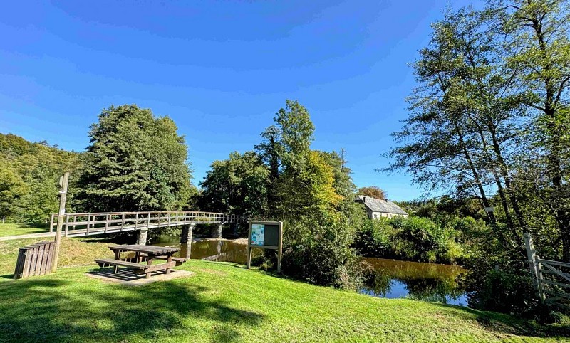 Wellin-outrelesse©MTFSH-TEXTO Pascal Willems (45)