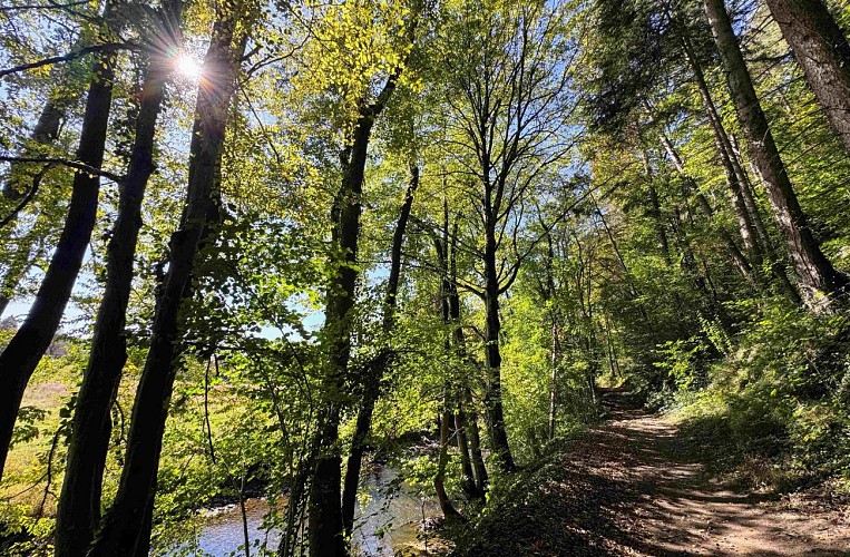 Wellin-outrelesse©MTFSH-TEXTO Pascal Willems (60)