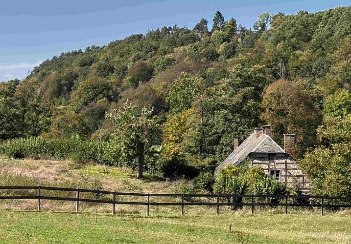 Wellin-outrelesse©MTFSH-TEXTO Pascal Willems (74)