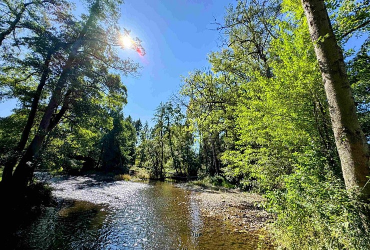 Wellin-outrelesse©MTFSH-TEXTO Pascal Willems (17)