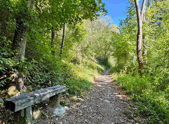 Wellin-outrelesse©MTFSH-TEXTO Pascal Willems (55)